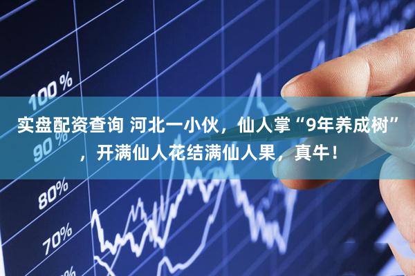 实盘配资查询 河北一小伙，仙人掌“9年养成树”，开满仙人花结满仙人果，真牛！