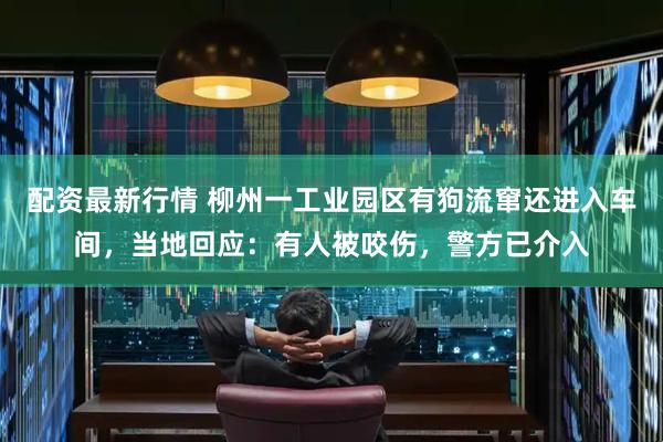 配资最新行情 柳州一工业园区有狗流窜还进入车间，当地回应：有人被咬伤，警方已介入