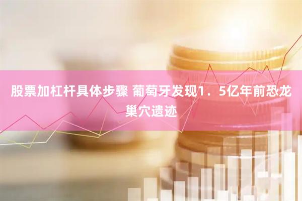 股票加杠杆具体步骤 葡萄牙发现1．5亿年前恐龙巢穴遗迹